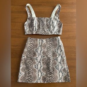Snake Print Mini Skirt and Top